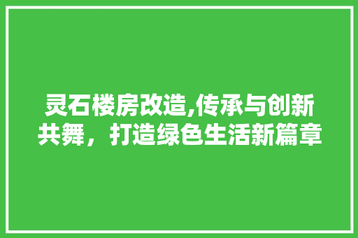 灵石楼房改造,传承与创新共舞，打造绿色生活新篇章