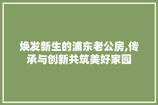 焕发新生的浦东老公房,传承与创新共筑美好家园