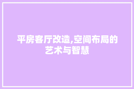 平房客厅改造,空间布局的艺术与智慧