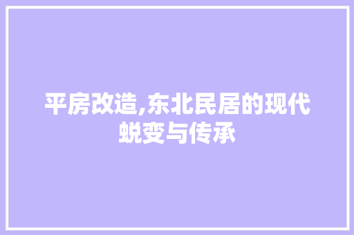 平房改造,东北民居的现代蜕变与传承