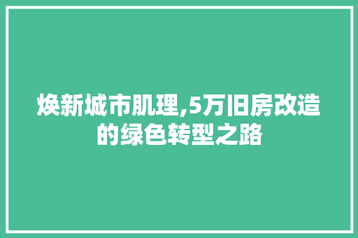 焕新城市肌理,5万旧房改造的绿色转型之路