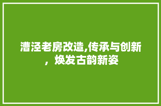 漕泾老房改造,传承与创新，焕发古韵新姿