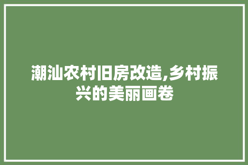 潮汕农村旧房改造,乡村振兴的美丽画卷