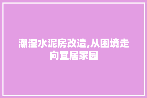 潮湿水泥房改造,从困境走向宜居家园