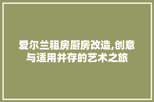 爱尔兰租房厨房改造,创意与适用并存的艺术之旅