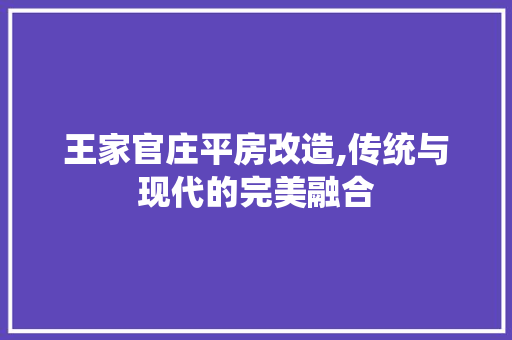 王家官庄平房改造,传统与现代的完美融合