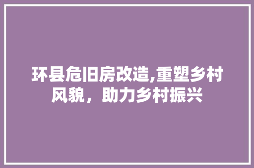 环县危旧房改造,重塑乡村风貌，助力乡村振兴