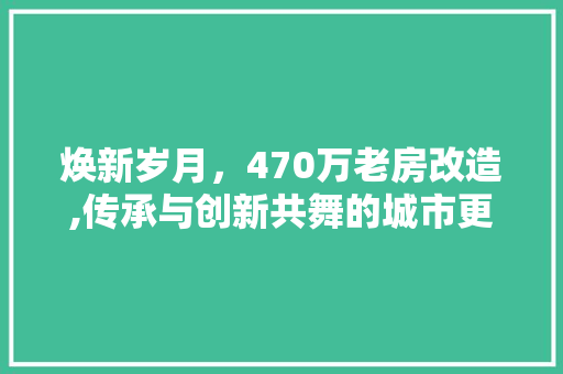 焕新岁月，470万老房改造,传承与创新共舞的城市更新篇章