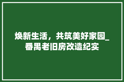 焕新生活，共筑美好家园_番禺老旧房改造纪实