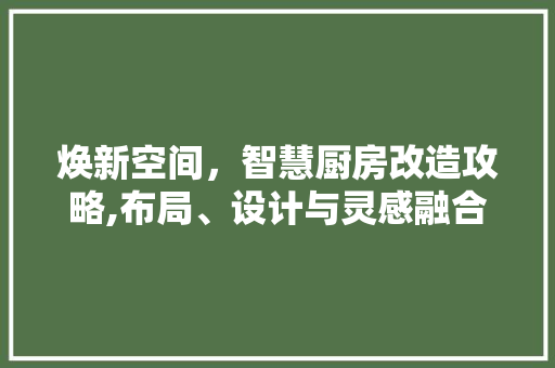 焕新空间，智慧厨房改造攻略,布局、设计与灵感融合