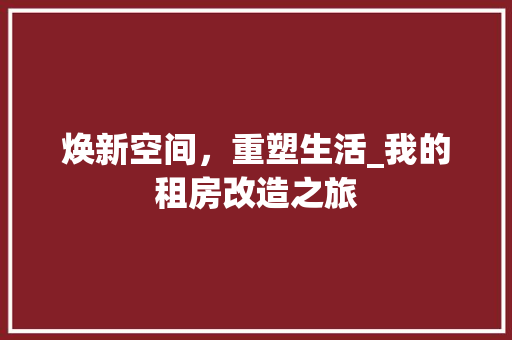 焕新空间，重塑生活_我的租房改造之旅