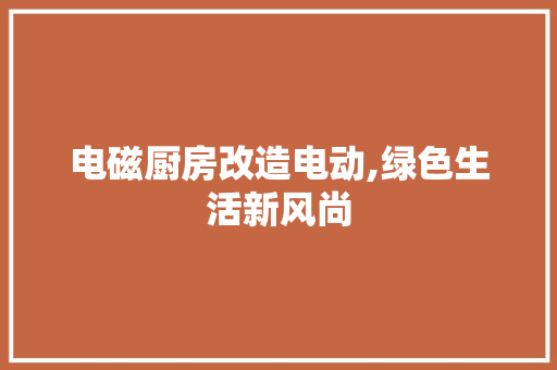 电磁厨房改造电动,绿色生活新风尚