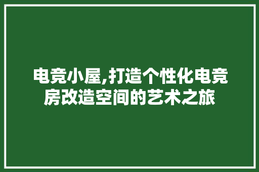 电竞小屋,打造个性化电竞房改造空间的艺术之旅