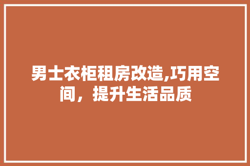 男士衣柜租房改造,巧用空间，提升生活品质