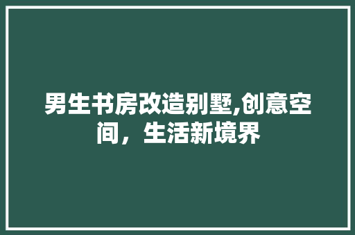 男生书房改造别墅,创意空间，生活新境界