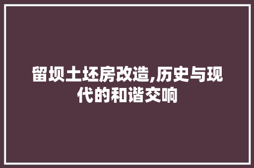 留坝土坯房改造,历史与现代的和谐交响