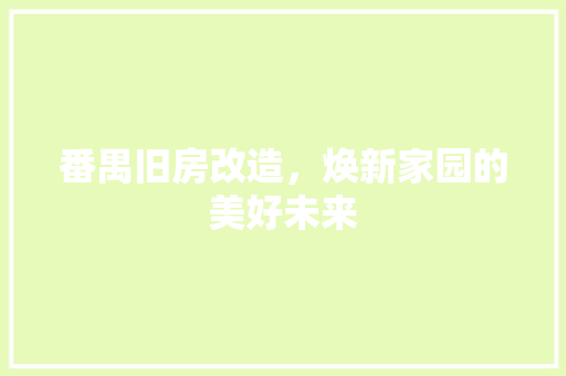 番禺旧房改造，焕新家园的美好未来