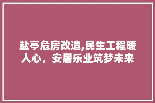 盐亭危房改造,民生工程暖人心，安居乐业筑梦未来