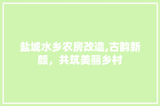 盐城水乡农房改造,古韵新颜，共筑美丽乡村