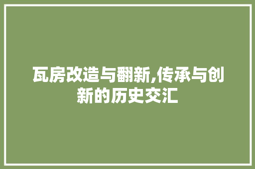 瓦房改造与翻新,传承与创新的历史交汇
