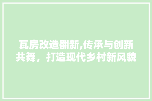 瓦房改造翻新,传承与创新共舞，打造现代乡村新风貌