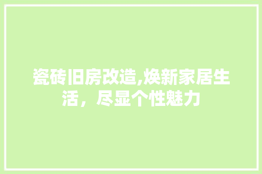 瓷砖旧房改造,焕新家居生活，尽显个性魅力