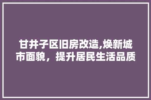 甘井子区旧房改造,焕新城市面貌，提升居民生活品质