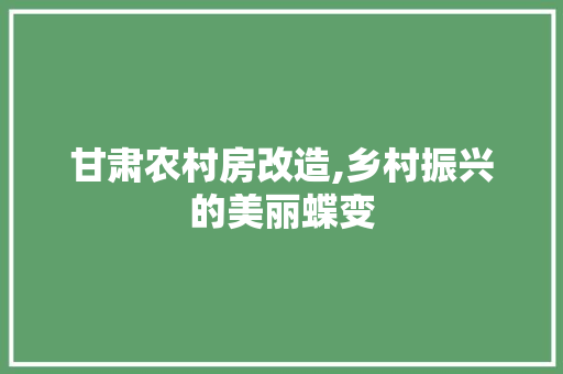 甘肃农村房改造,乡村振兴的美丽蝶变
