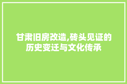 甘肃旧房改造,砖头见证的历史变迁与文化传承