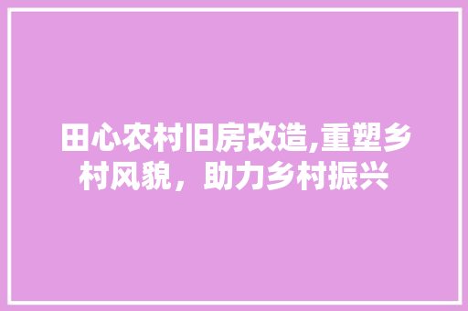 田心农村旧房改造,重塑乡村风貌，助力乡村振兴