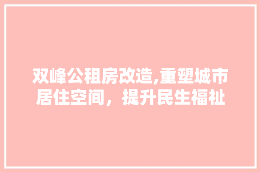 双峰公租房改造,重塑城市居住空间，提升民生福祉