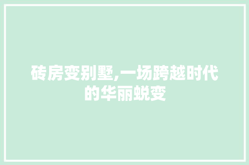 砖房变别墅,一场跨越时代的华丽蜕变