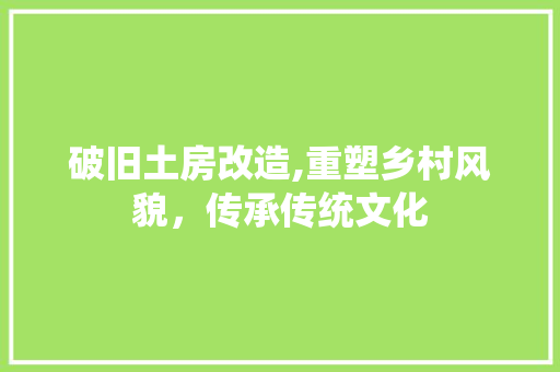 破旧土房改造,重塑乡村风貌，传承传统文化