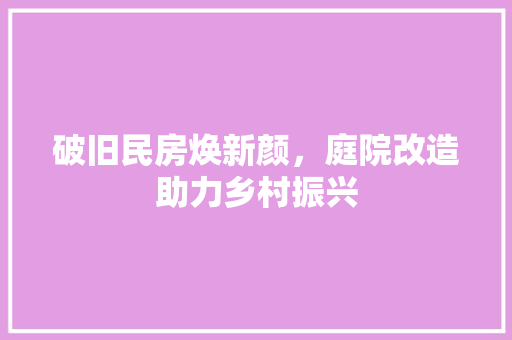 破旧民房焕新颜，庭院改造助力乡村振兴