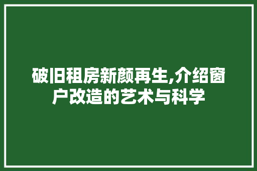 破旧租房新颜再生,介绍窗户改造的艺术与科学