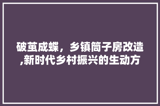 破茧成蝶，乡镇筒子房改造,新时代乡村振兴的生动方法