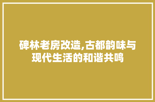 碑林老房改造,古都韵味与现代生活的和谐共鸣