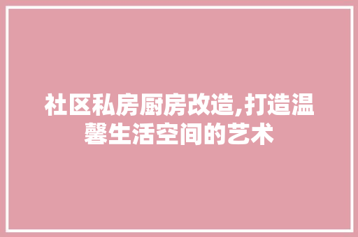 社区私房厨房改造,打造温馨生活空间的艺术