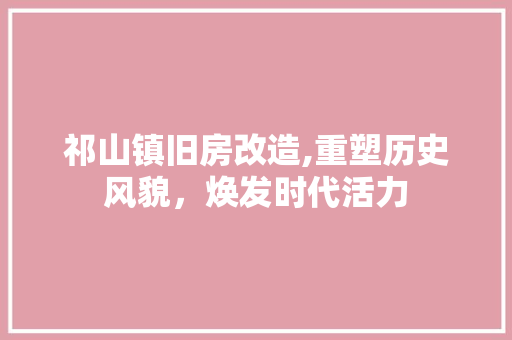祁山镇旧房改造,重塑历史风貌，焕发时代活力