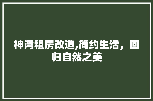 神湾租房改造,简约生活，回归自然之美
