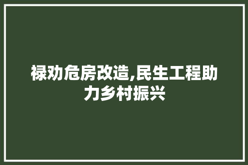 禄劝危房改造,民生工程助力乡村振兴