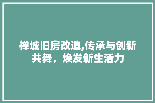 禅城旧房改造,传承与创新共舞，焕发新生活力
