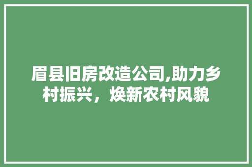 眉县旧房改造公司,助力乡村振兴，焕新农村风貌