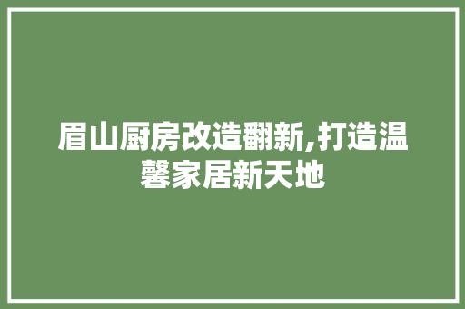眉山厨房改造翻新,打造温馨家居新天地