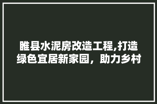 睢县水泥房改造工程,打造绿色宜居新家园，助力乡村振兴