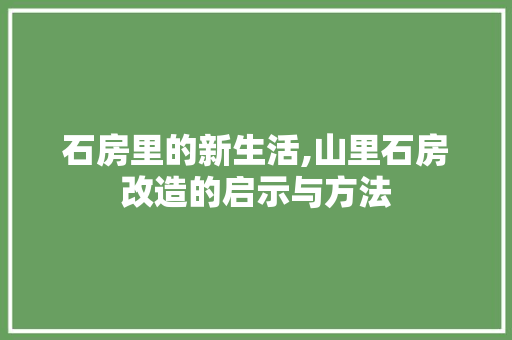 石房里的新生活,山里石房改造的启示与方法