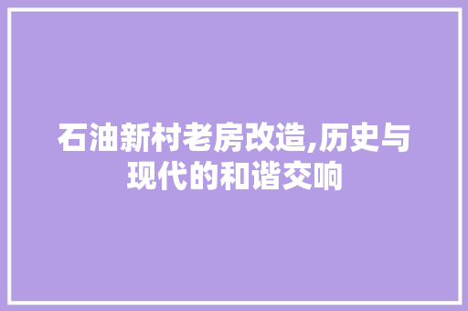 石油新村老房改造,历史与现代的和谐交响