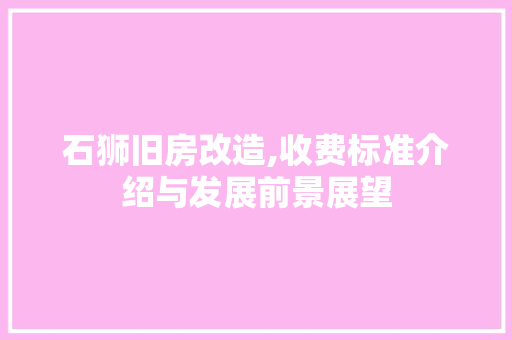 石狮旧房改造,收费标准介绍与发展前景展望