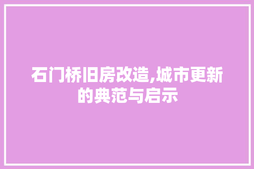 石门桥旧房改造,城市更新的典范与启示