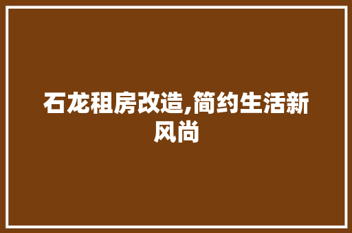 石龙租房改造,简约生活新风尚